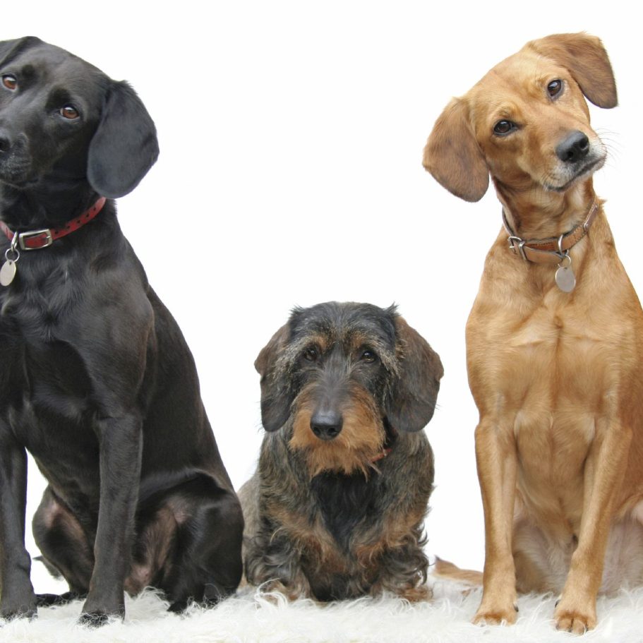 Friseur in Wegberg Friseur in Wegberg